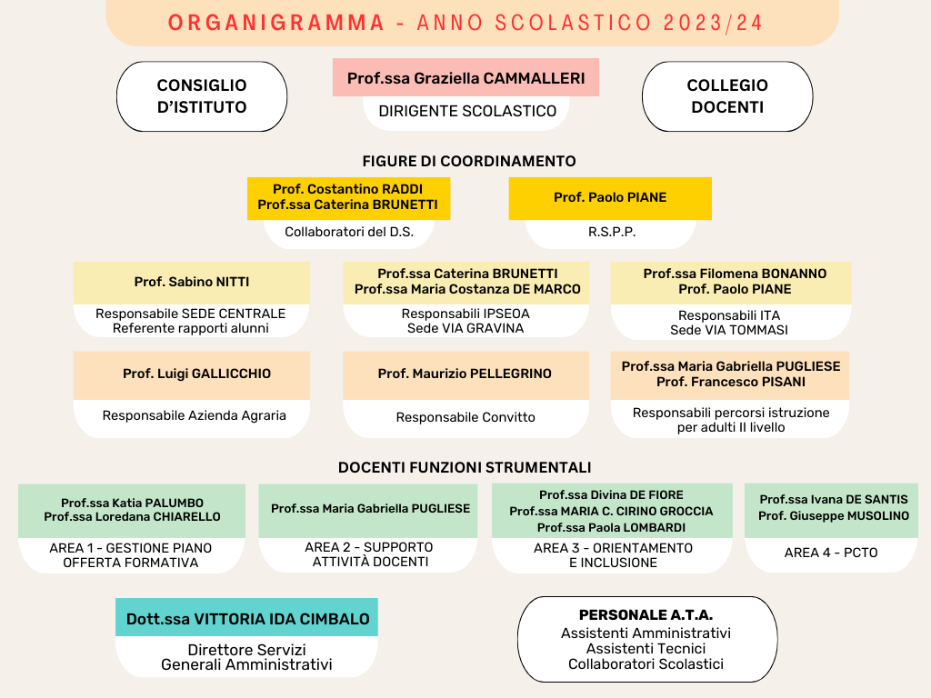 Organigramma Mancini Tommasi