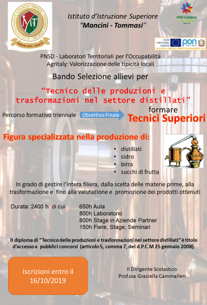 Tecnico distillati mod