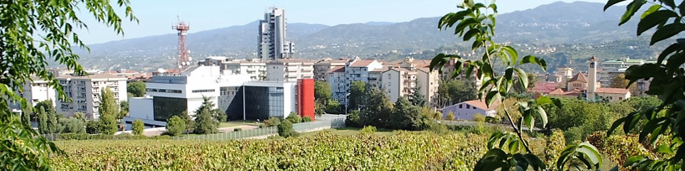 Azienda agraria